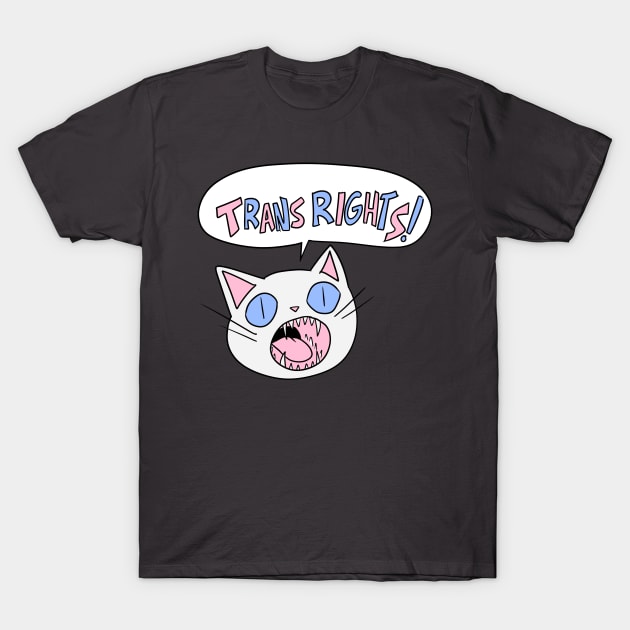 Trans Rights! T-Shirt by Kytri